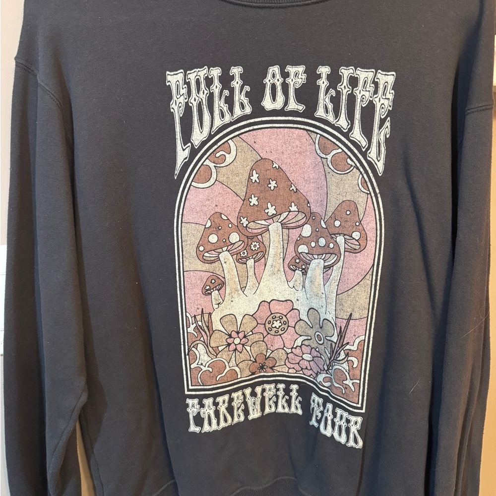 Hollister Gray Graphic Sweatshirt